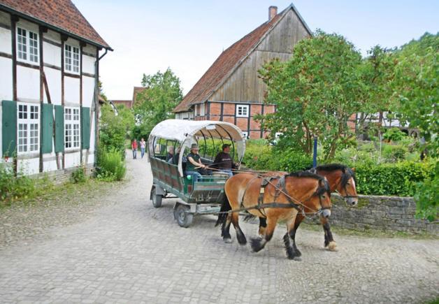Fewo Charlotte Horn-Bad Meinberg Esterno foto